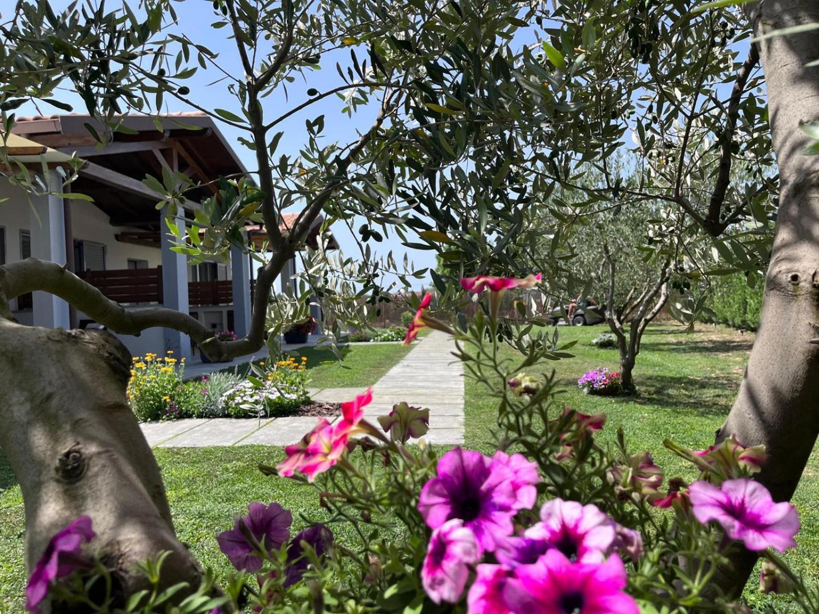 Residence La Pace - Pool & Relax Marina di Grosseto Ngoại thất bức ảnh