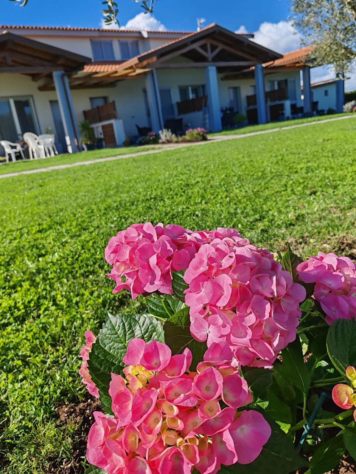 Residence La Pace - Pool & Relax Marina di Grosseto Ngoại thất bức ảnh