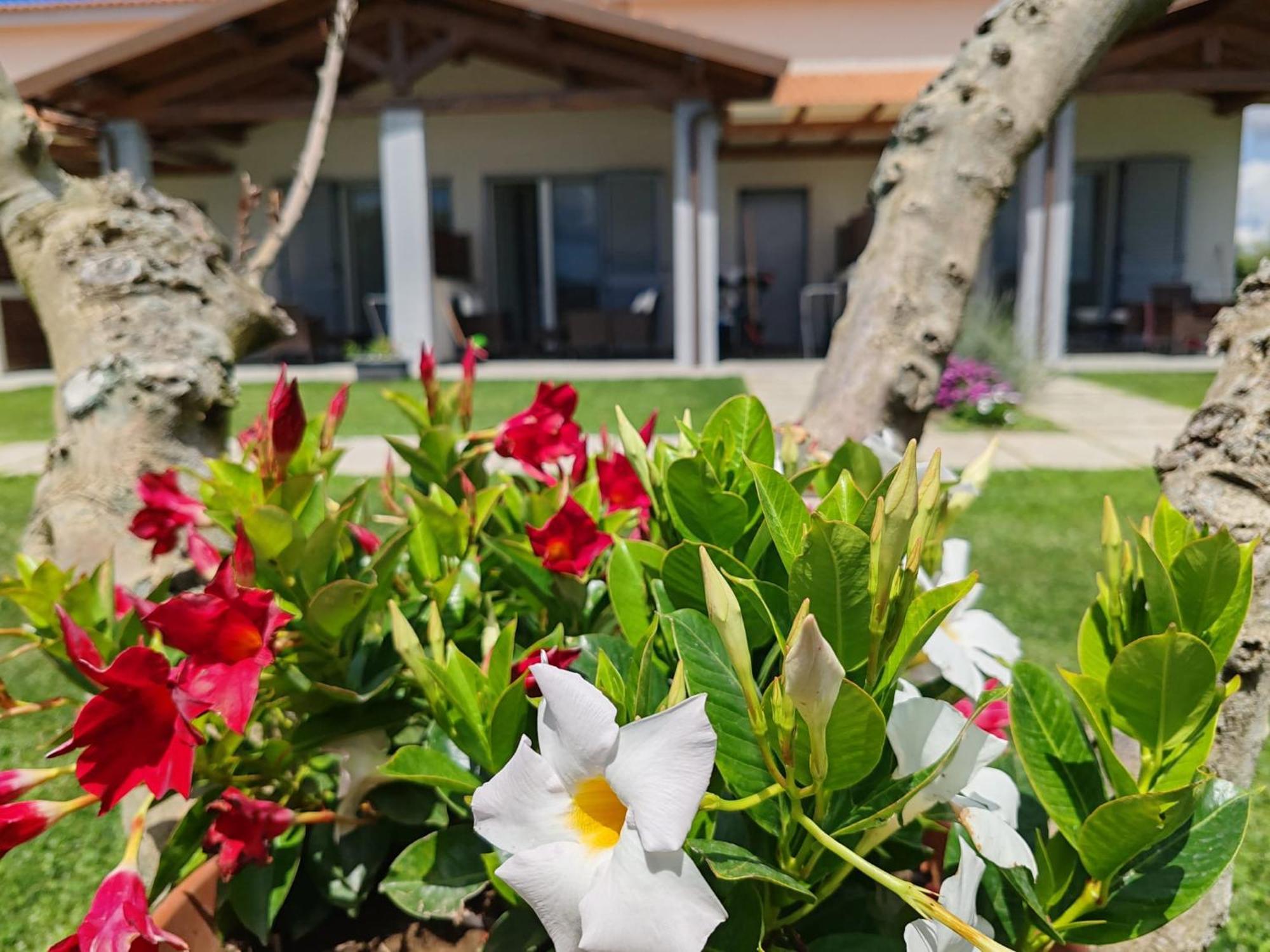 Residence La Pace - Pool & Relax Marina di Grosseto Ngoại thất bức ảnh