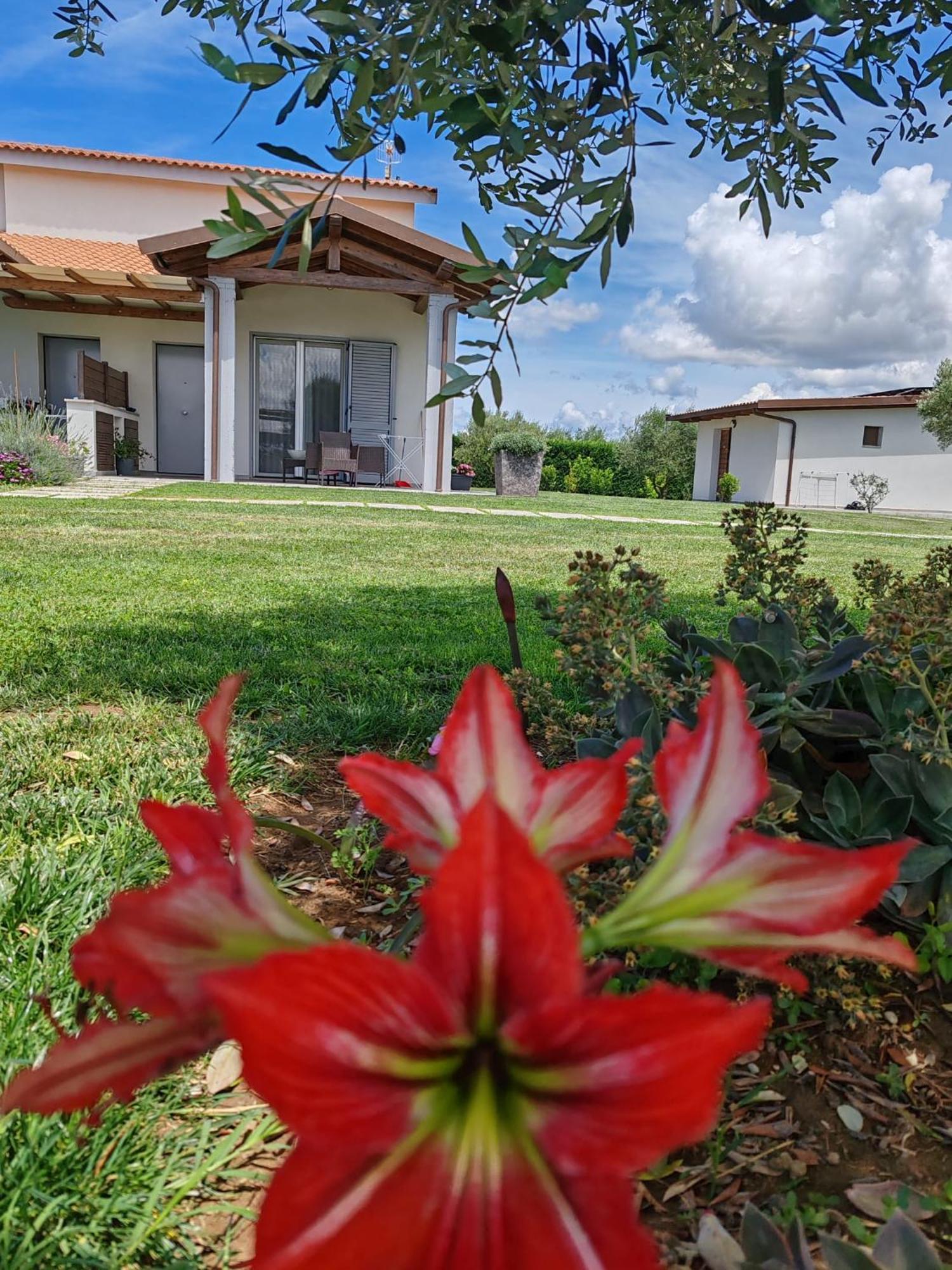 Residence La Pace - Pool & Relax Marina di Grosseto Ngoại thất bức ảnh